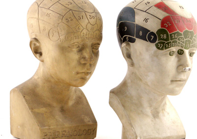 Victorian Phrenology Head